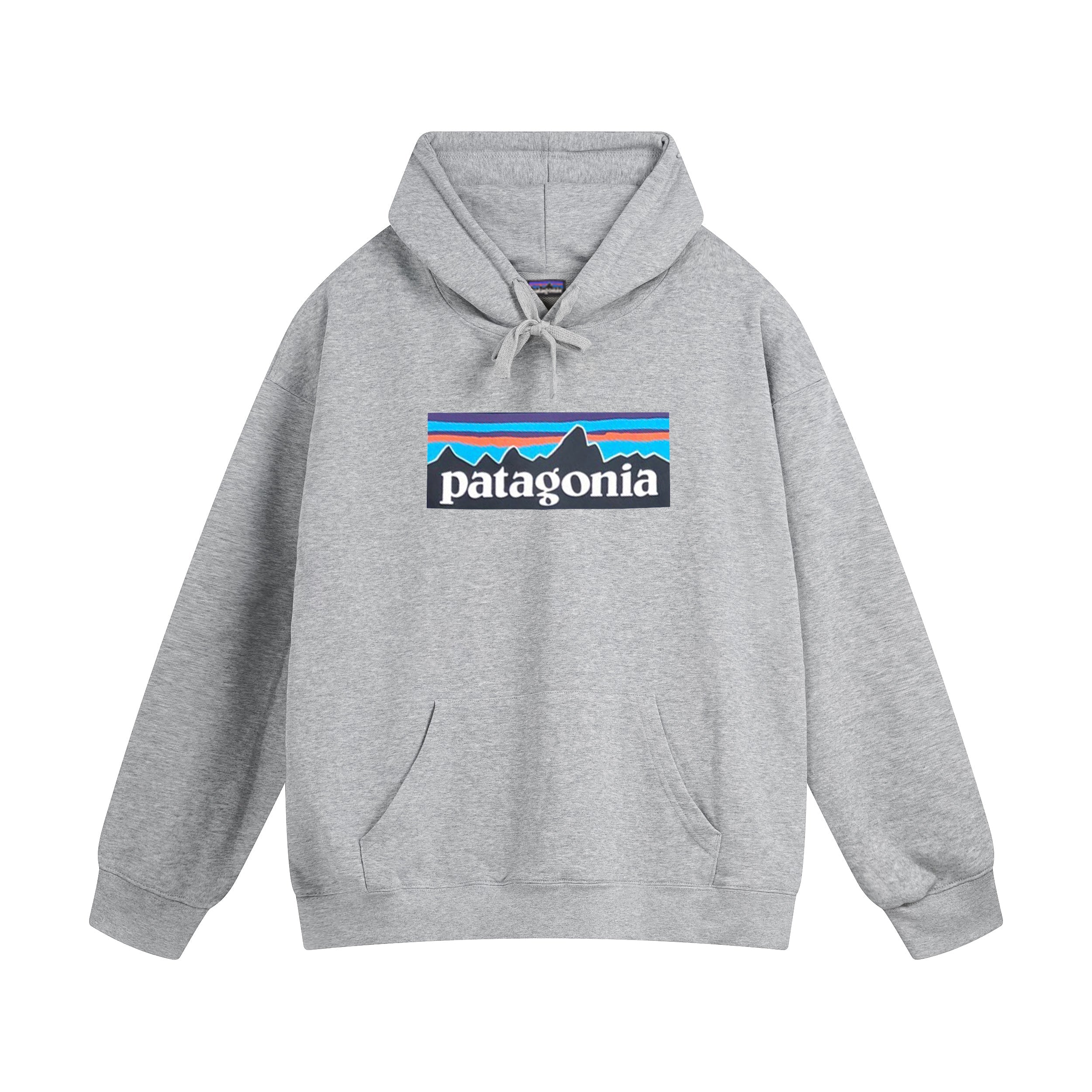 patagonia terry hoodie