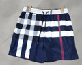 Burberry Swimming Shorts